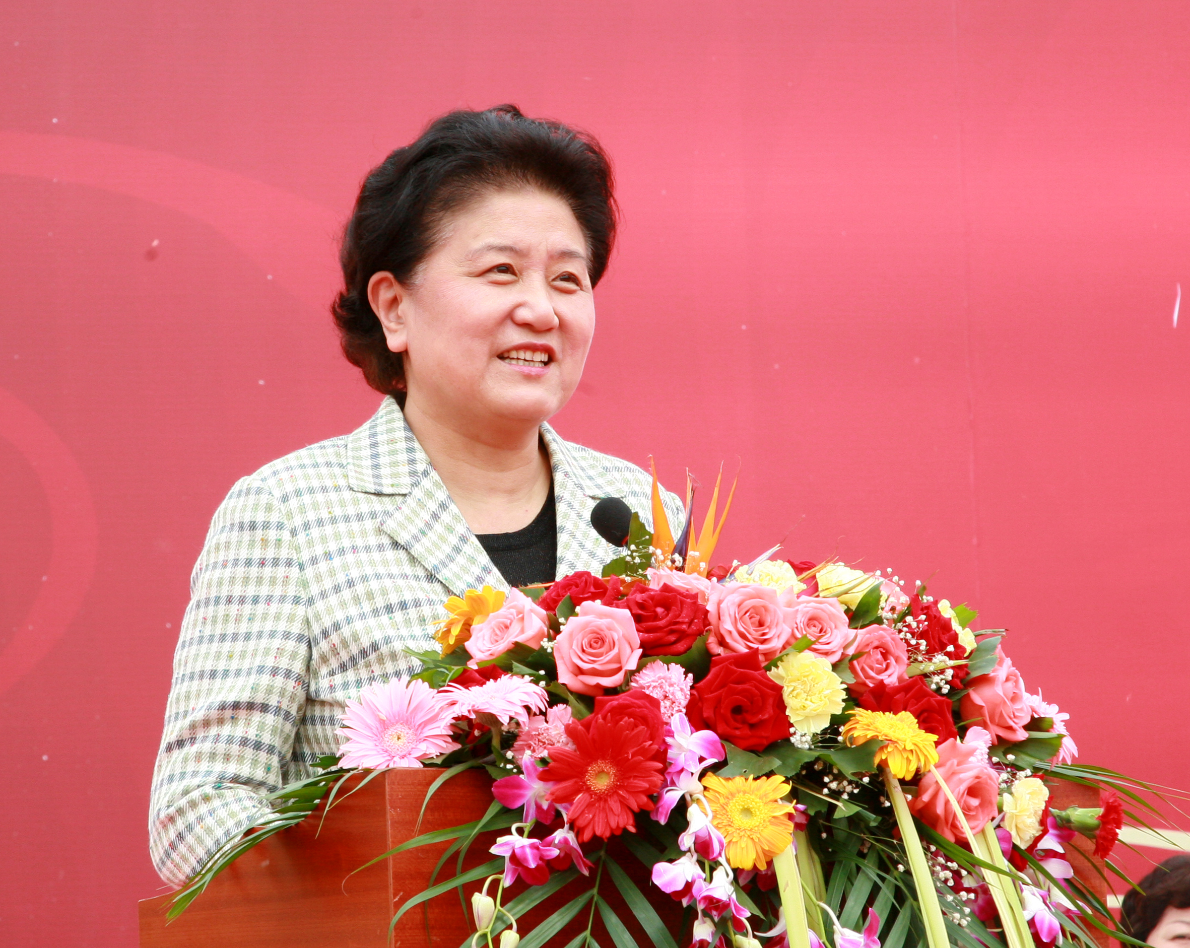 中共中央政治局委员、国务委员刘延东同志做重要讲话.JPG